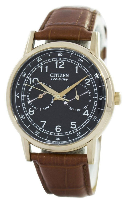 Citizen Dress Eco-Drive Stainless Steel Water Resistant. A brand-new Citizen Eco-Drive watch featuring a Leather strap. Side view.